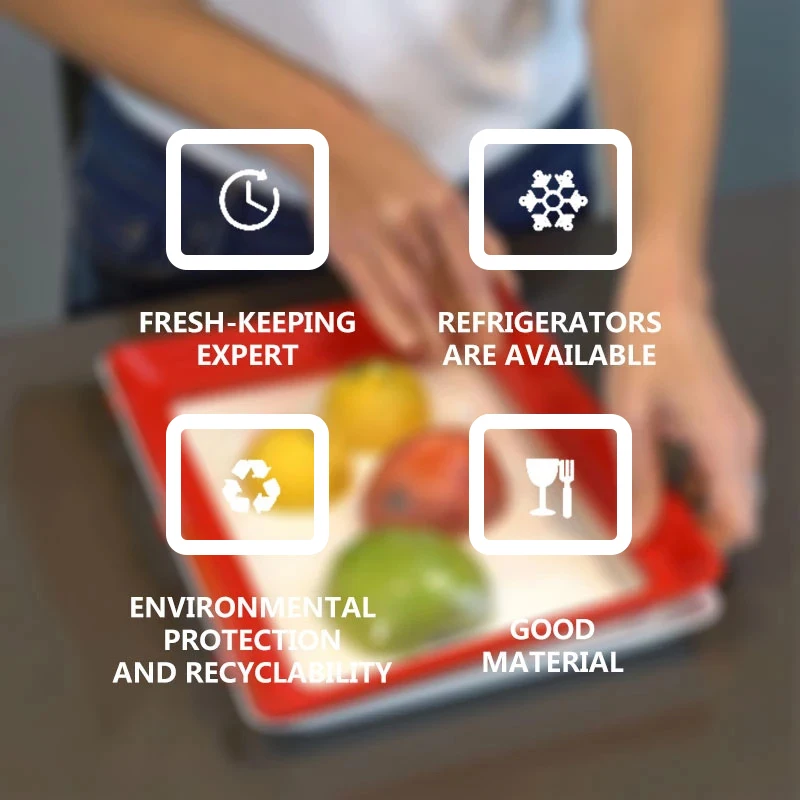 Plateau de conservation alimen - Food Storage And Safety avis et prix