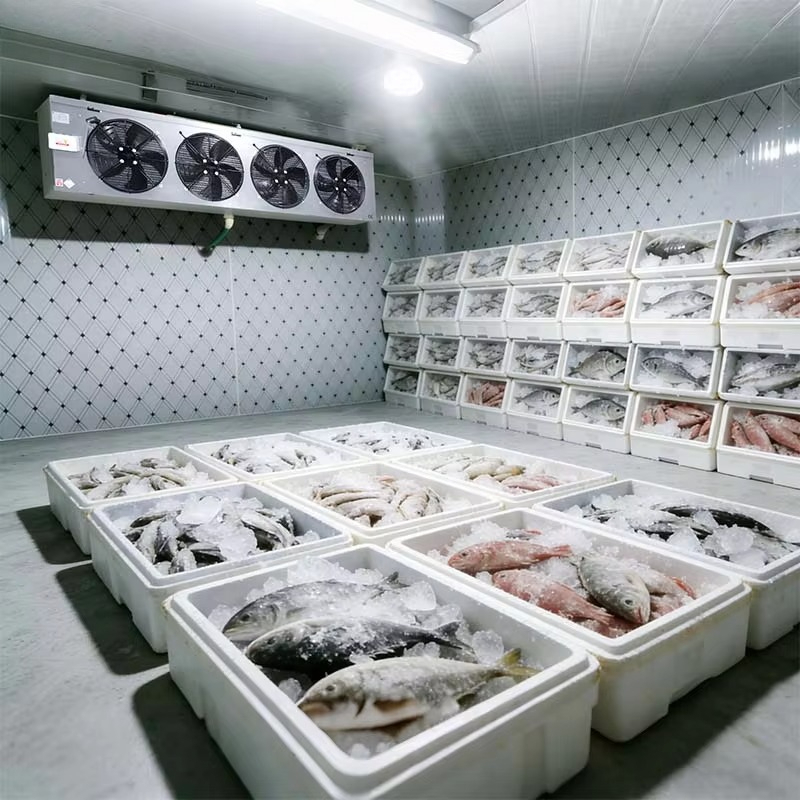Chambre froide sur mesure de q - Food Storage And Safety avis et prix